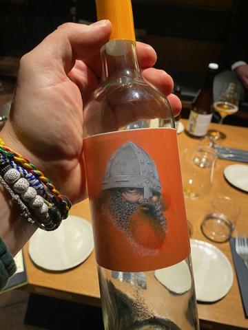 Viking - Homme Perdu - pavel-tomanek 