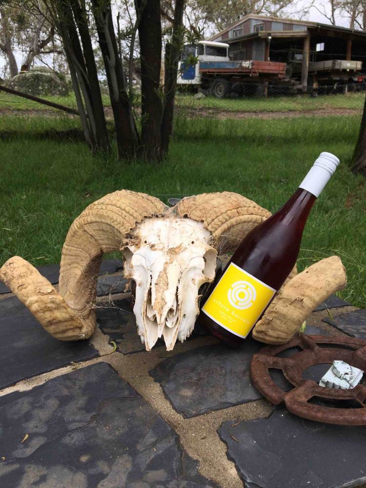 Texture Like Sun - Ochota Barrels - amber-taras-ochota 