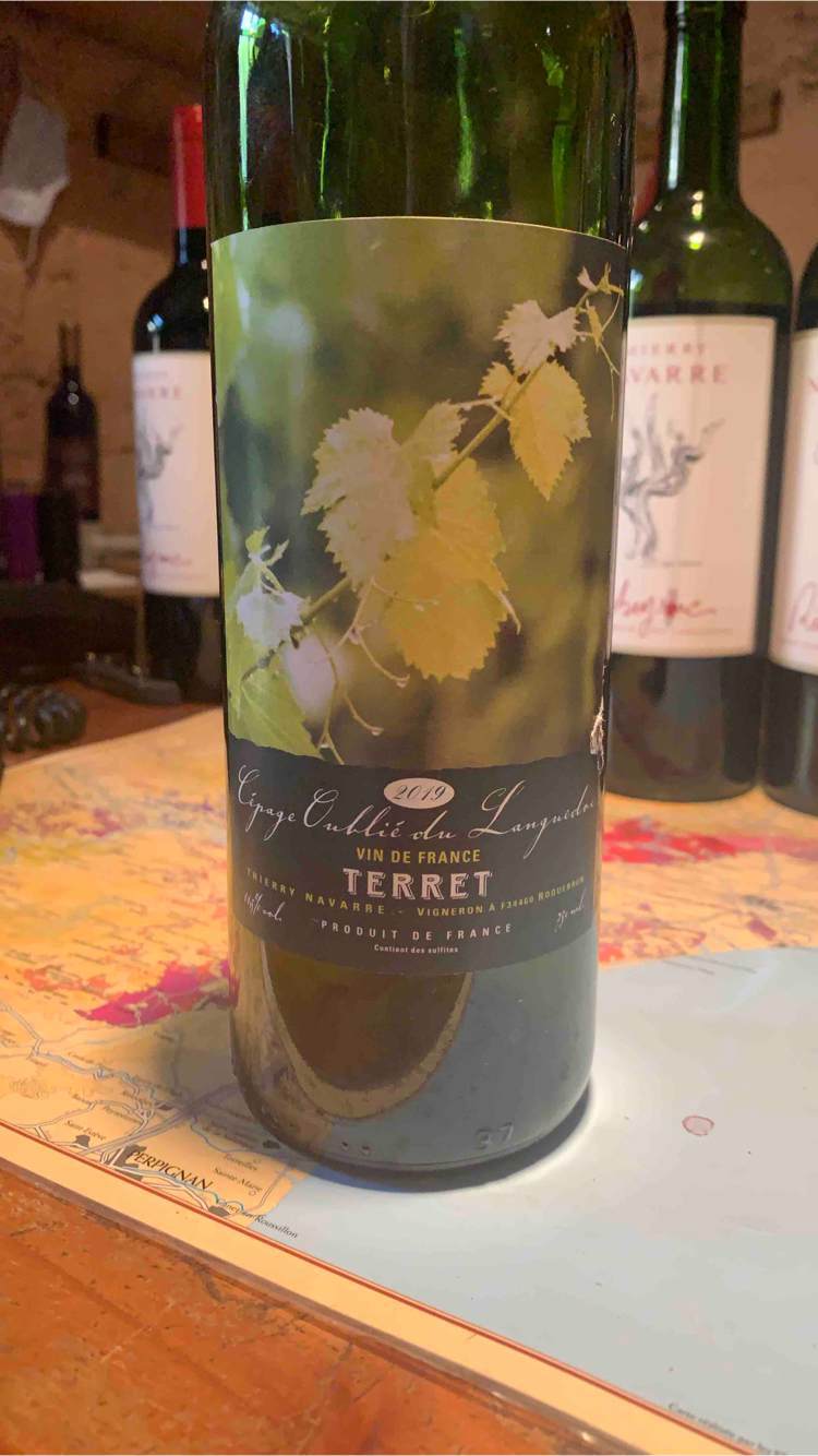 Terret - Thierry Navarre - thierry-navarre 