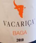 Baga tinto - Quinta da Vacariça - francois-chasans 