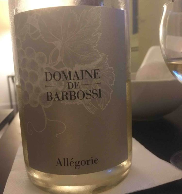 Allégorie - Domaine Sylvain Saux - domaine-sylvain-saux 