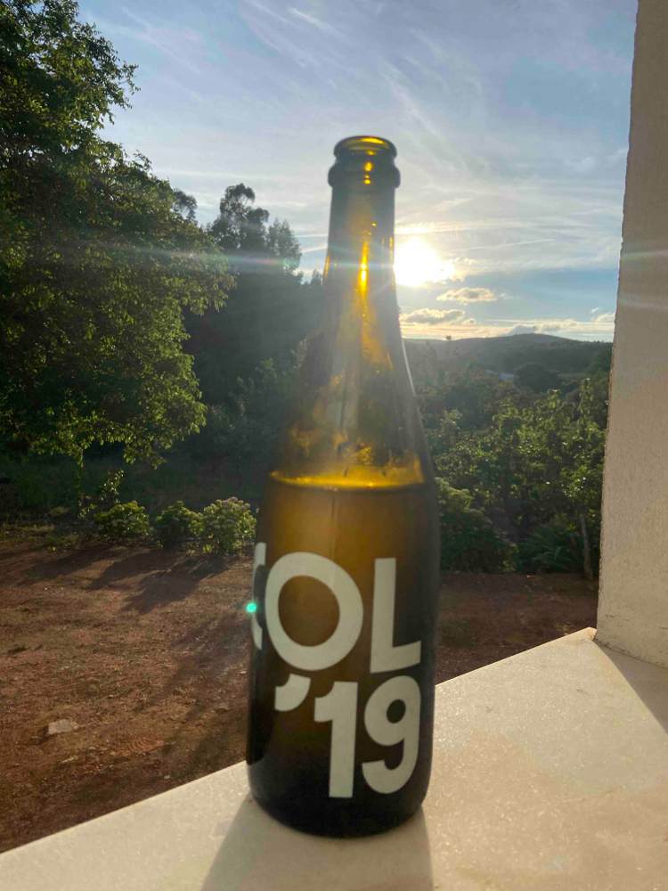 COL - Tillingham Wines - ben-walgate -2019