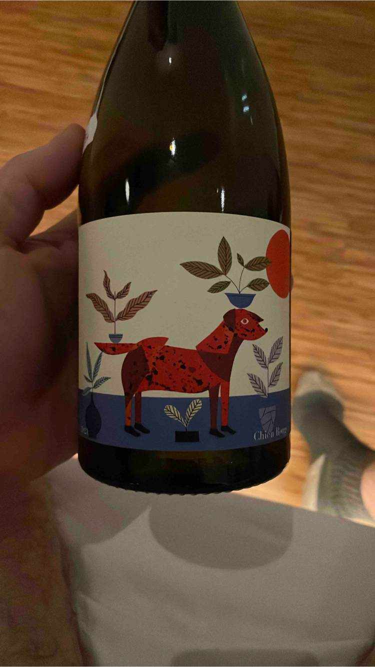 Chien rouge - Frace - vincent-lafage 