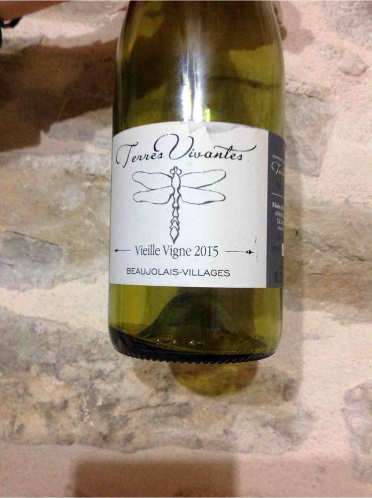 Vieille Vigne - Terres Vivantes - marie-ludovic-gros 