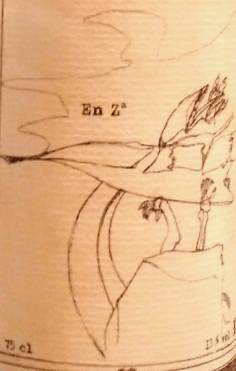 En Za - Aurélien Lefort - aurelien-lefort 