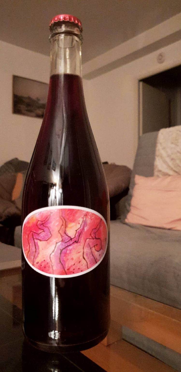 Carignan - Domaine Sylvain Saux - domaine-sylvain-saux 