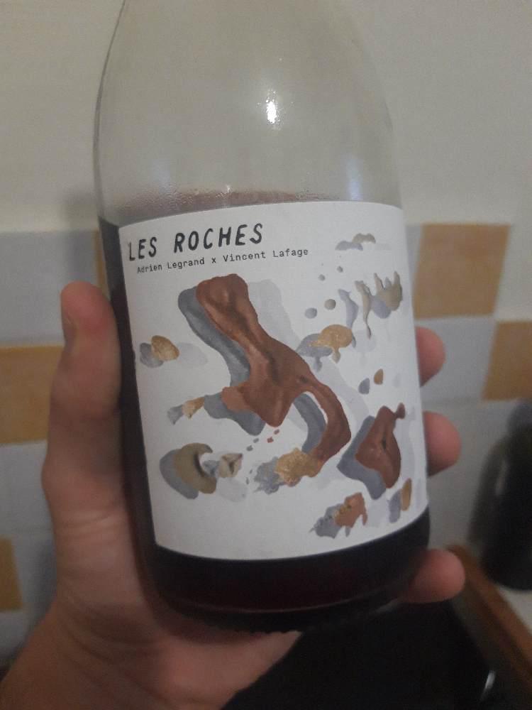 Les Roches - Les Salicaires - vincent-lafage 