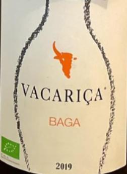 Baga em Anfora - Quinta da Vacariça - francois-chasans -2019