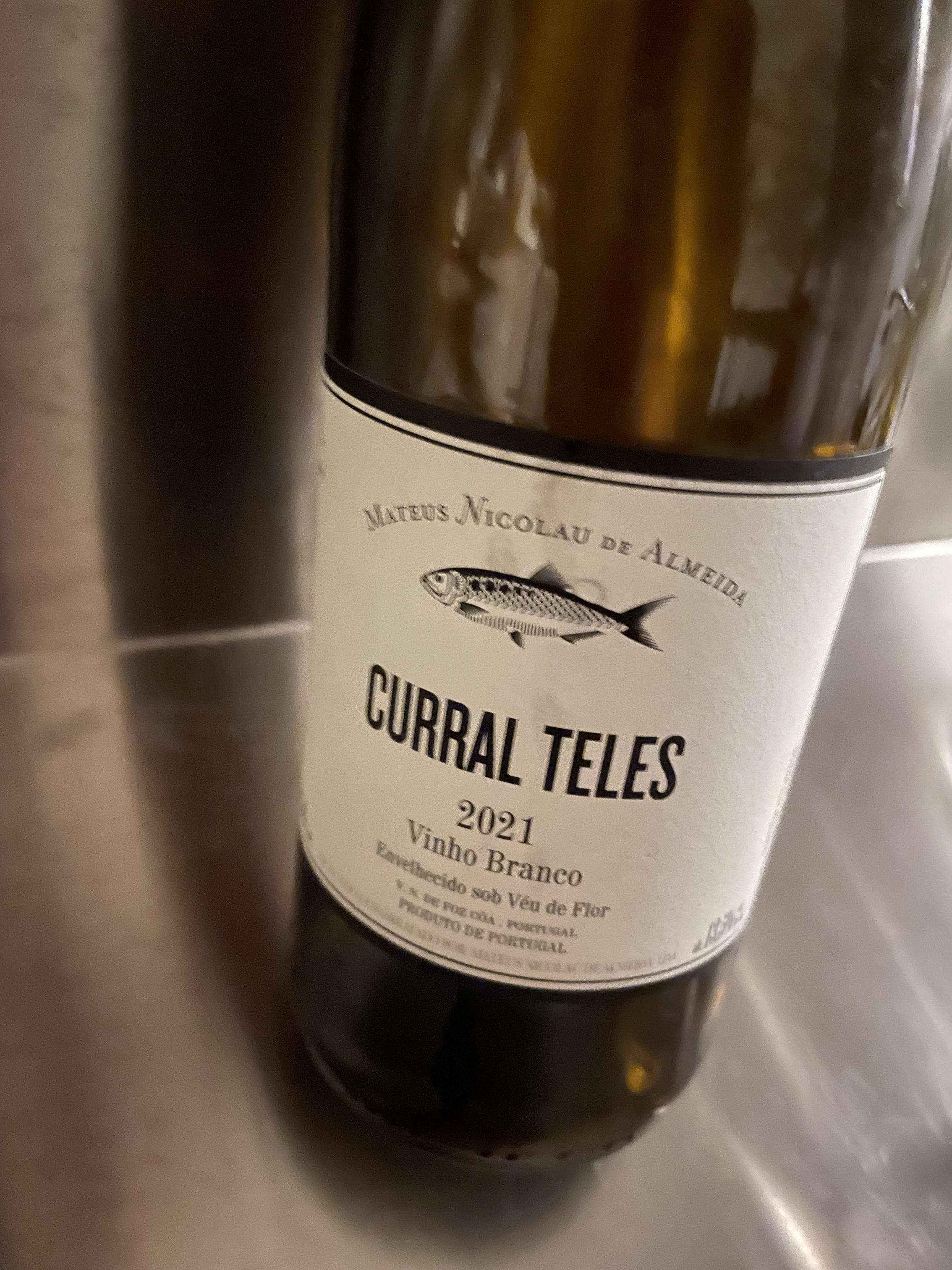 Curral Teles - Lambda - Adega do sável (Alosa Alosa) - mateus-nicolau-de-almeida -2021