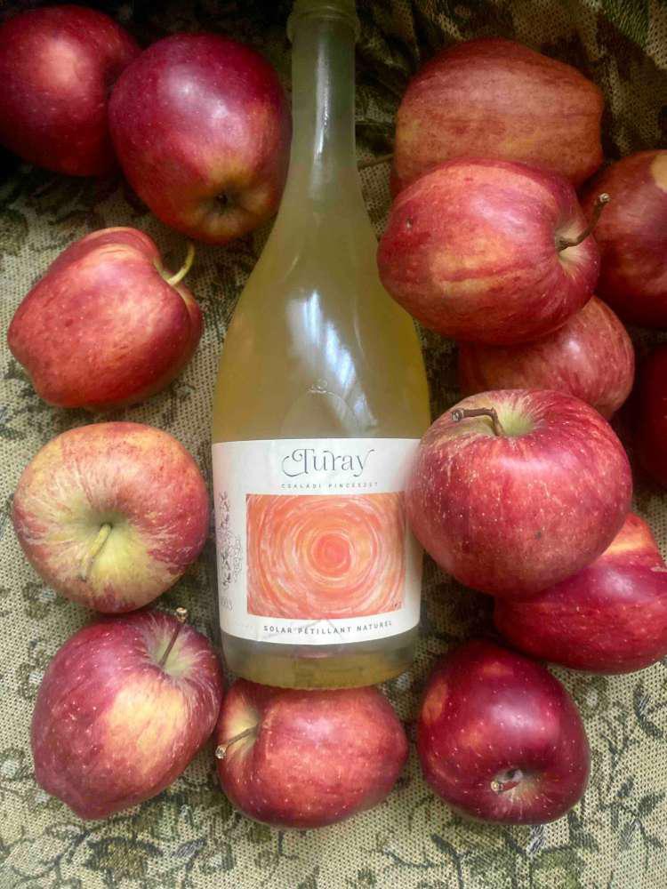 Solar Pétillant Naturel - Turay Családi Pincészet - turay-family 