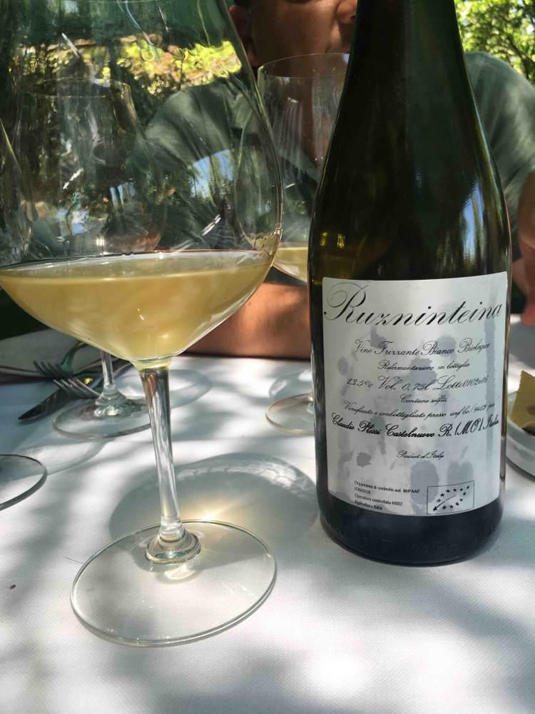 Ruzninteina - Claudio Plessi - claudio-plessi 