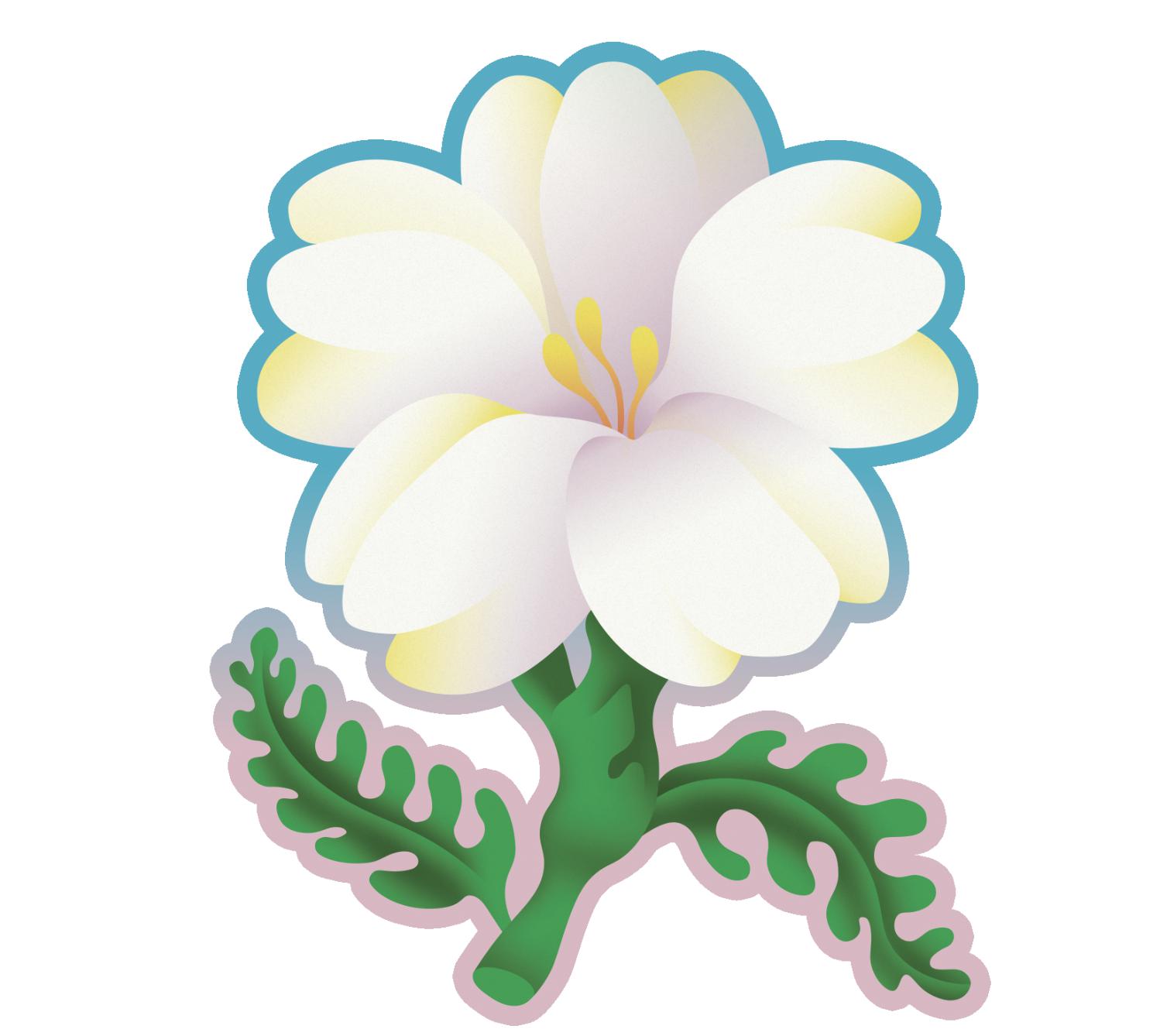 Achillée - Ladidadi wines - florian-tonello 