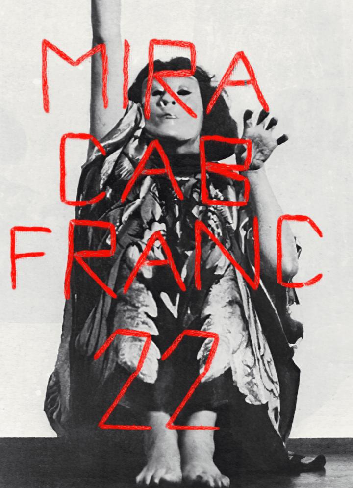 Cab Franc - Mira - mira-milan-nestarec -2022