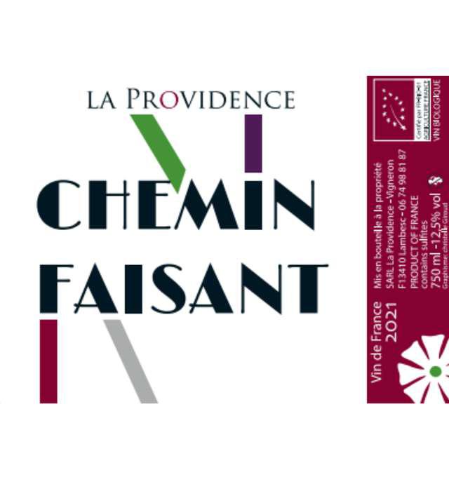 Chemin Faisant - Domaine La Providence - benedicte-jean-benoit-comor -2022