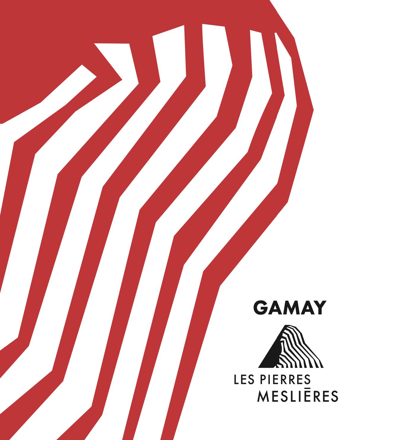 Gamay - Les Pierres Meslières - frederic-monnier -2021