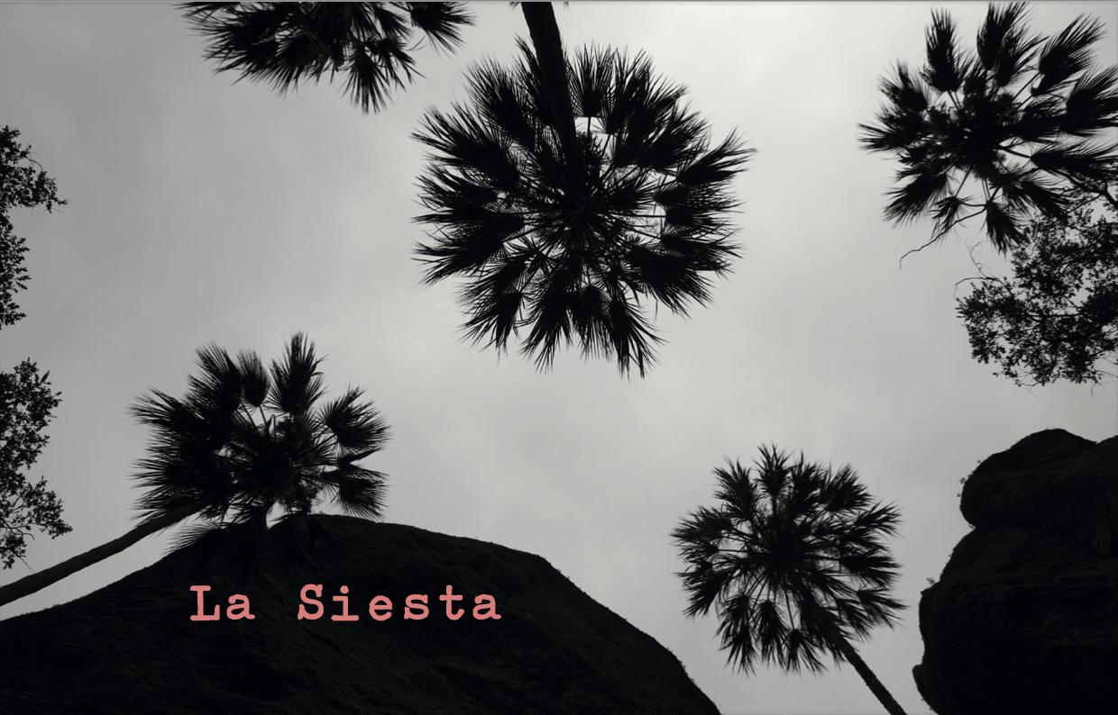 La Siesta - Domaine La Goguette - julien-mary -2023