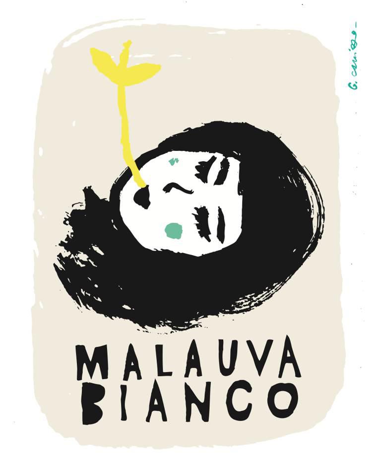 Malauva Bianco - Malauva Casa Agricola - elisa-cortese-giovanni-adua 