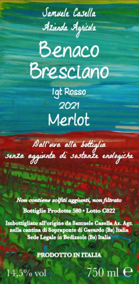 Merlot - Azienda Agricola Samuele Casella - samuele-casella 