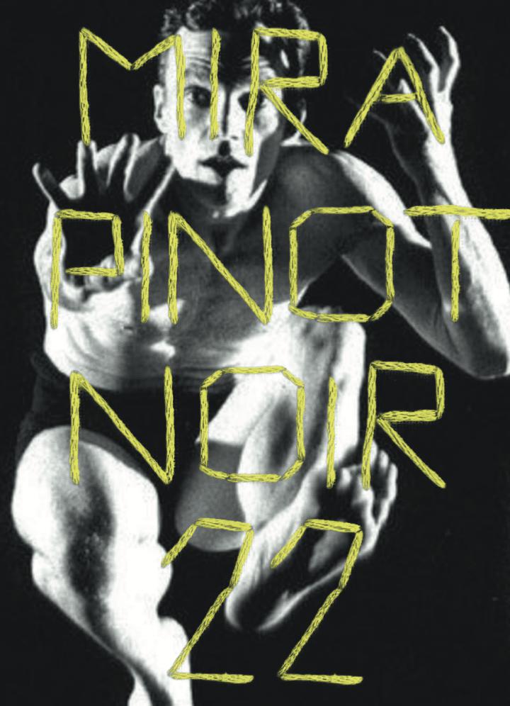 Pinot Noir - Mira - mira-milan-nestarec -2022