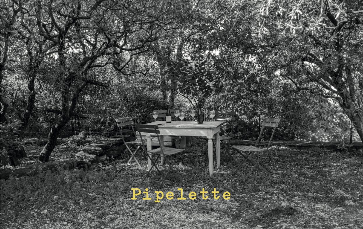Pipelette - Domaine La Goguette - julien-mary -2023