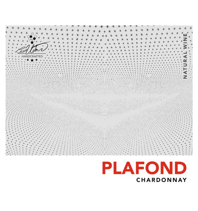 Plafond Chardonnay - Weinhof Uibel - michaela-leo-uibel 