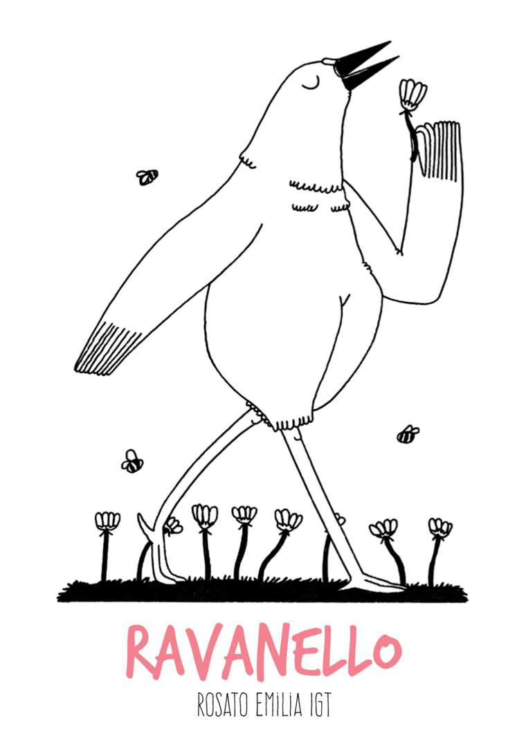 Ravanello - L'Upupa Azienda Agricola - alberto-di-stefano 