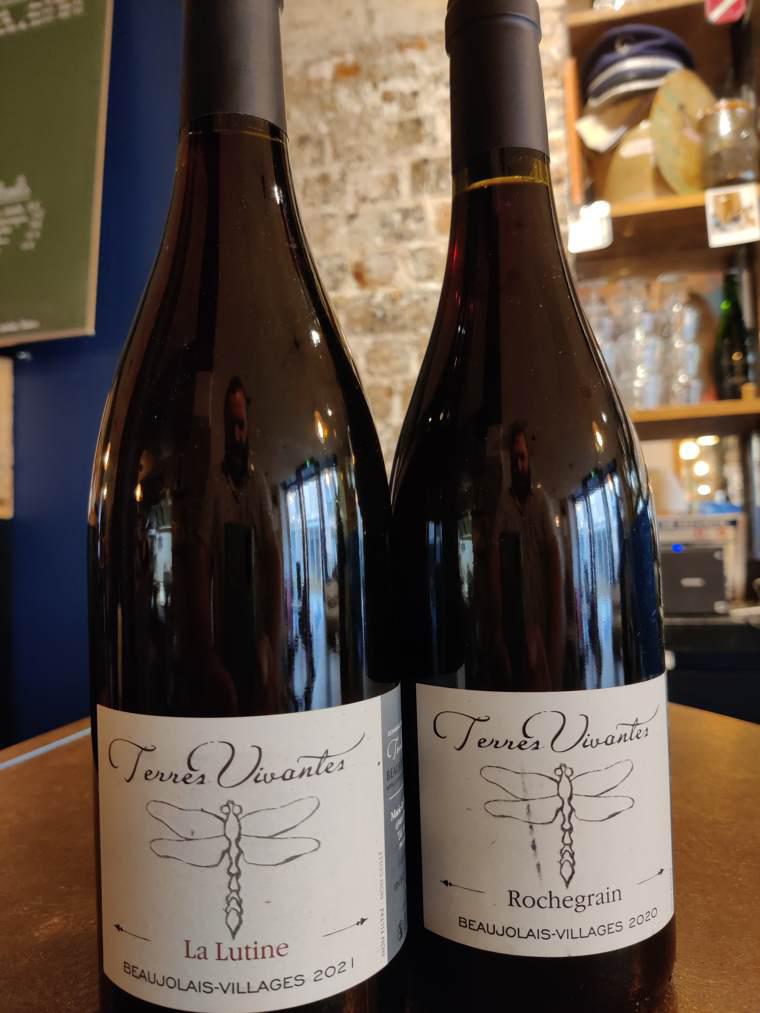 Rochegrain - Terres Vivantes - marie-ludovic-gros -2020