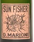 Sun Fischer - Marioni Wine - dan-marioni 