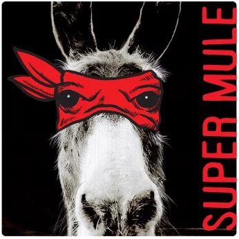 Super Mule - Jeff Carrel - jeff-carrel -2020