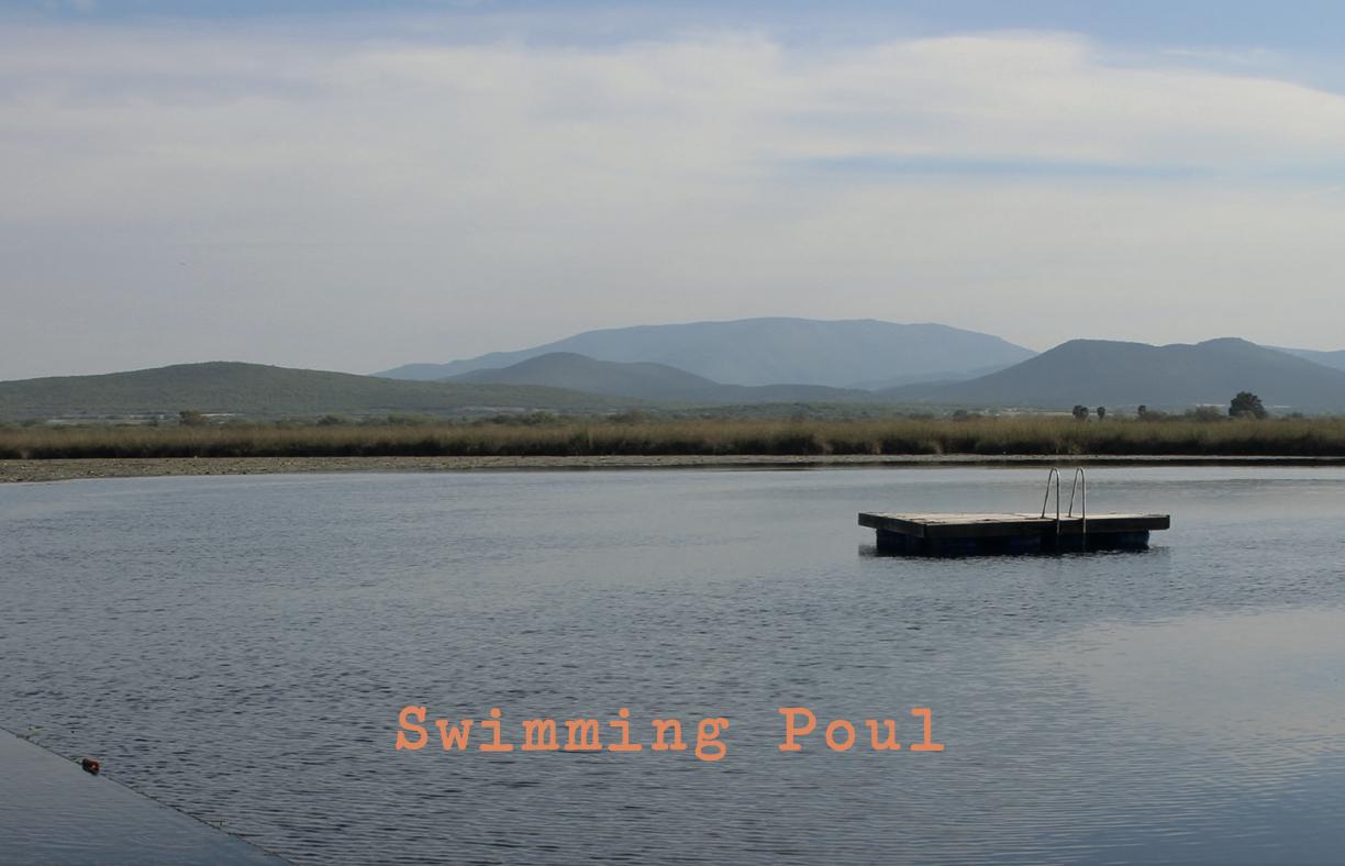 Swimming Poul - Domaine La Goguette - julien-mary -2022